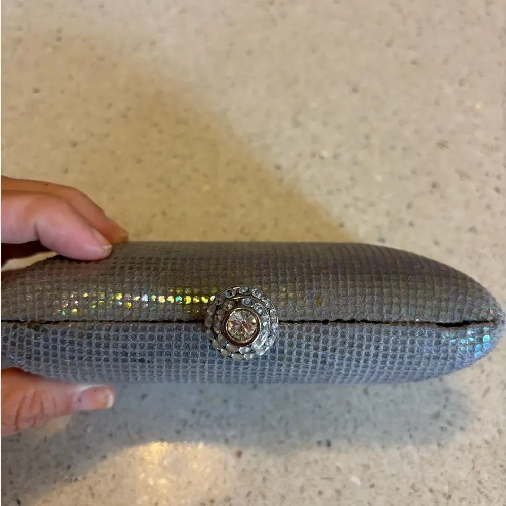 Expressions Silver Iridescent Evening Bag by Expressions NYC